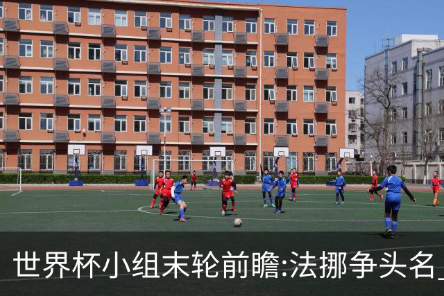 世界杯小组末轮前瞻:法挪争头名 西班牙仍不稳