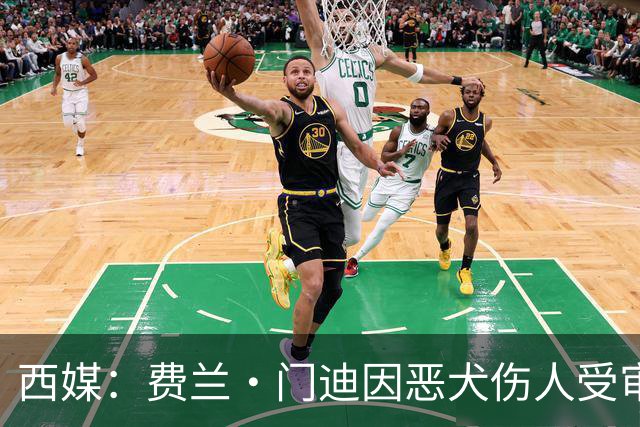 西媒：费兰·门迪因恶犬伤人受审，检方要求处以罚款和半年监禁